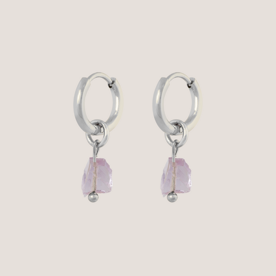 Birthstone oorbellen Februari - Amethist